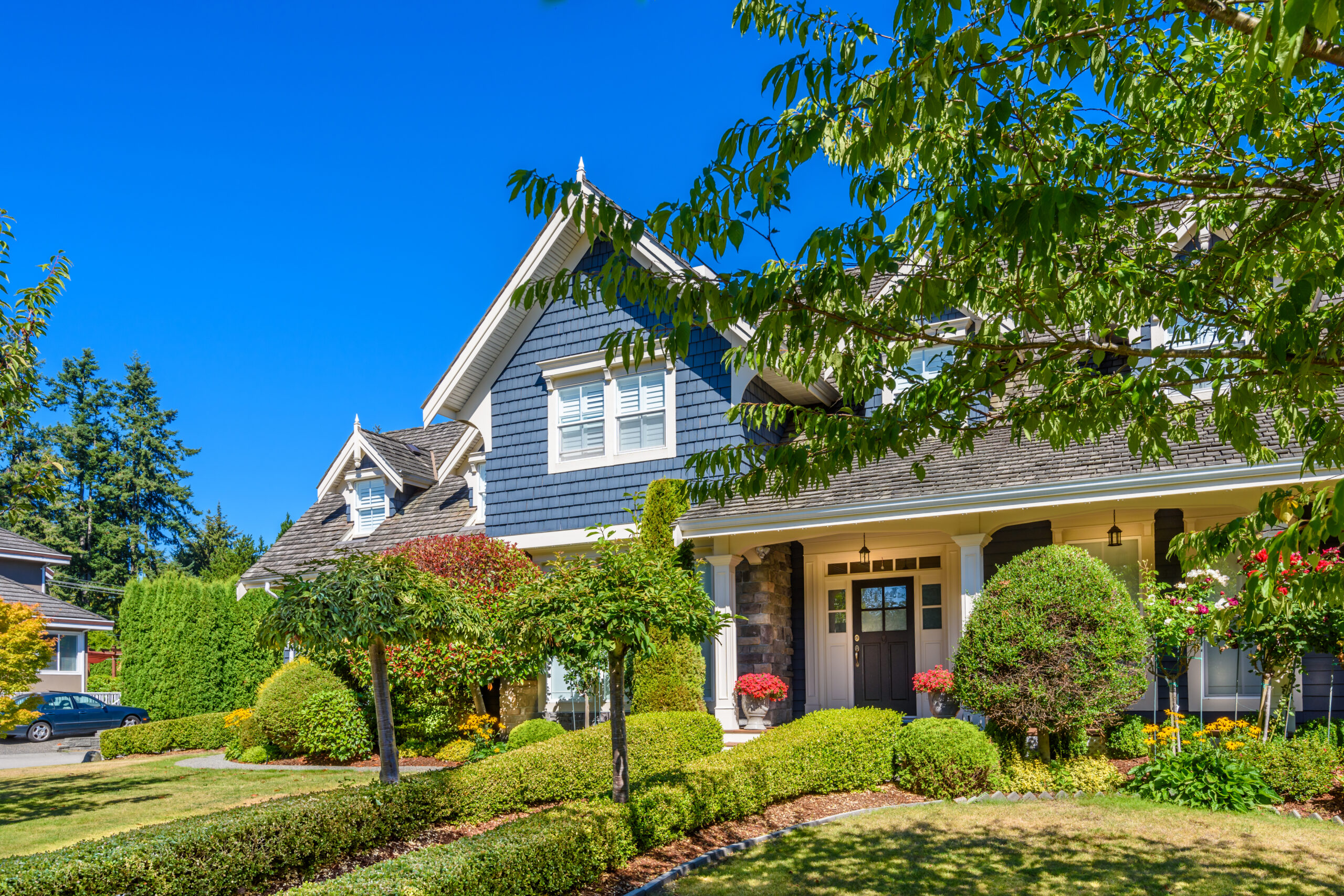 Full Home Remodel